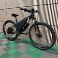 Trek marlin 5 52v 2000w electric e bike